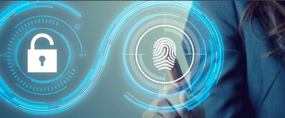 Screen-Shot-2022-10-12-at-2.42.58-PM